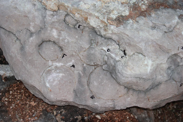 d44151-023-00014-2_24014818