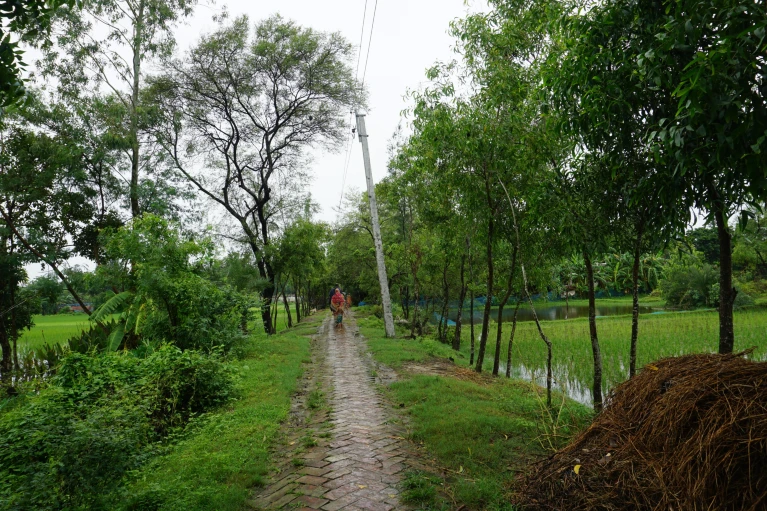 d44151-023-00041-z_25241604