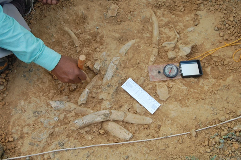 d44151-025-00107-0_51120848